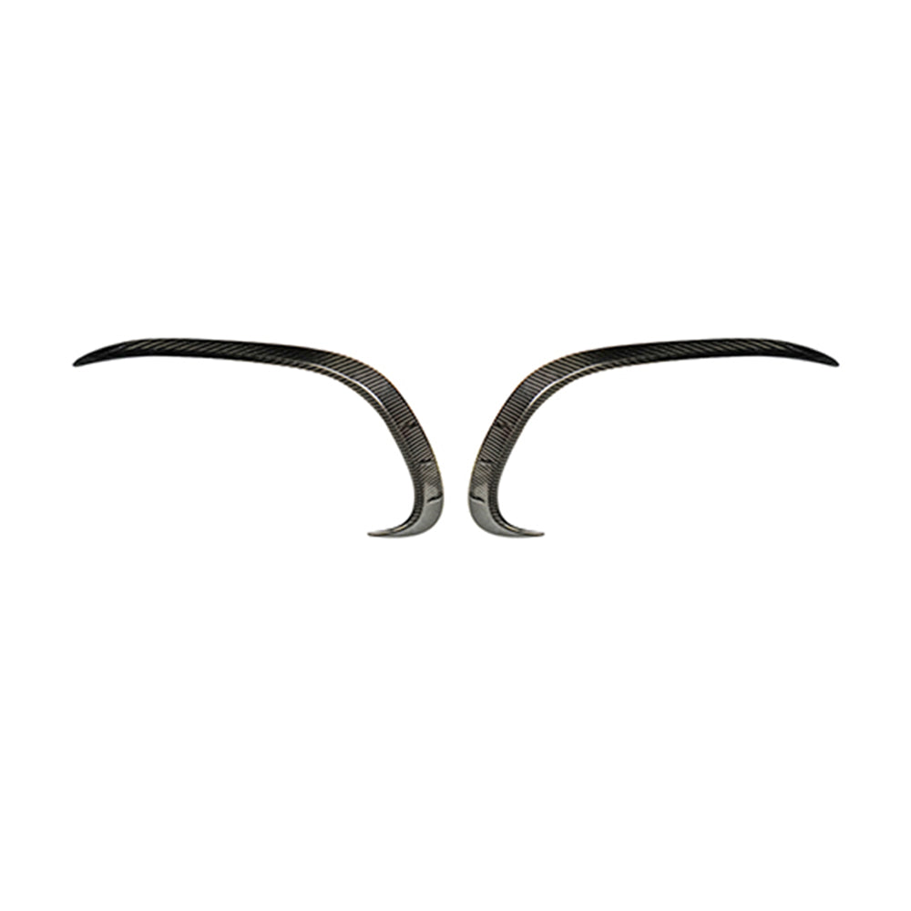 BENZ AMG C43 Coupe Dry carbon fiber front fog light frame - Amxnx