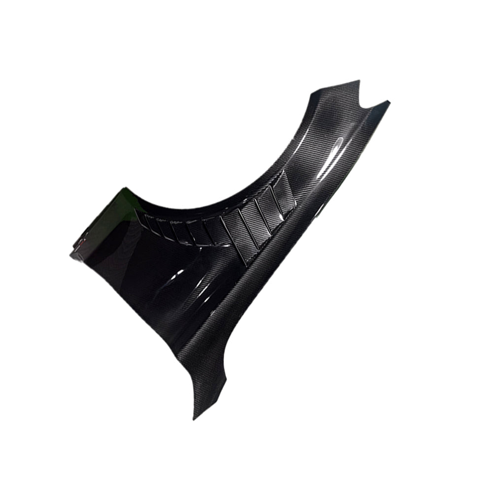 BENZ AMG C63 Dry carbon fiber fender - Amxnx