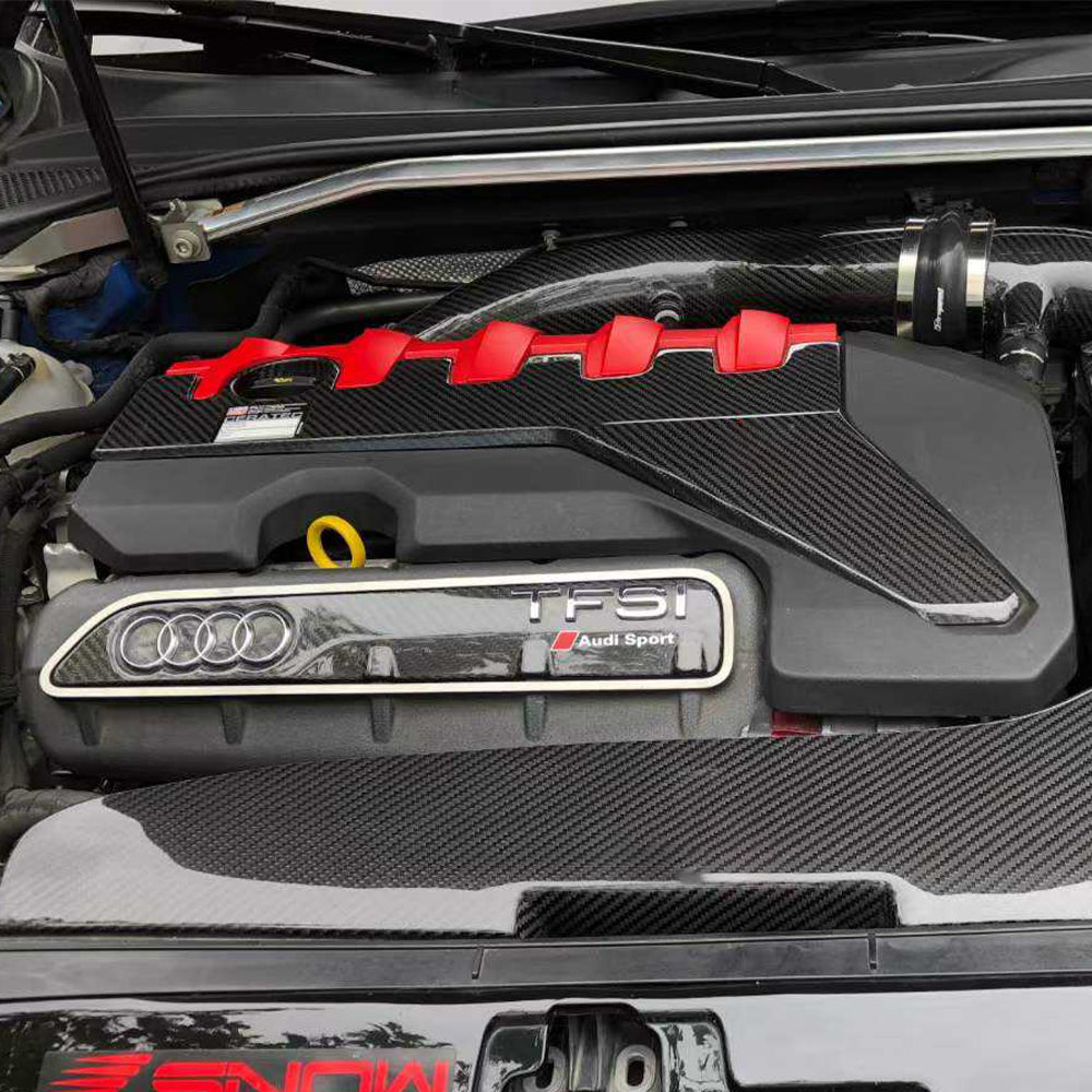 AUDI RS3 Dry carbon fiber cabin trim panel - Amxnx